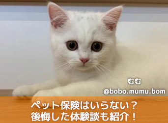 ペット保険はいらない?いらないと言われる理由や後悔した体験談も紹介!のサムネイル画像